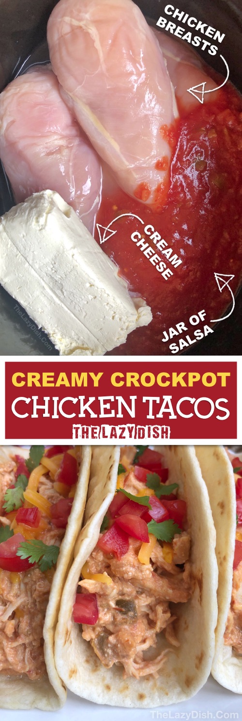 Creamy Crockpot Chicken Tacos The Lazy Dish,English Ivy Houseplant