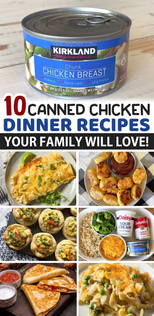 10 Easy Canned Chicken Dinner Recipes Your Family Will Love