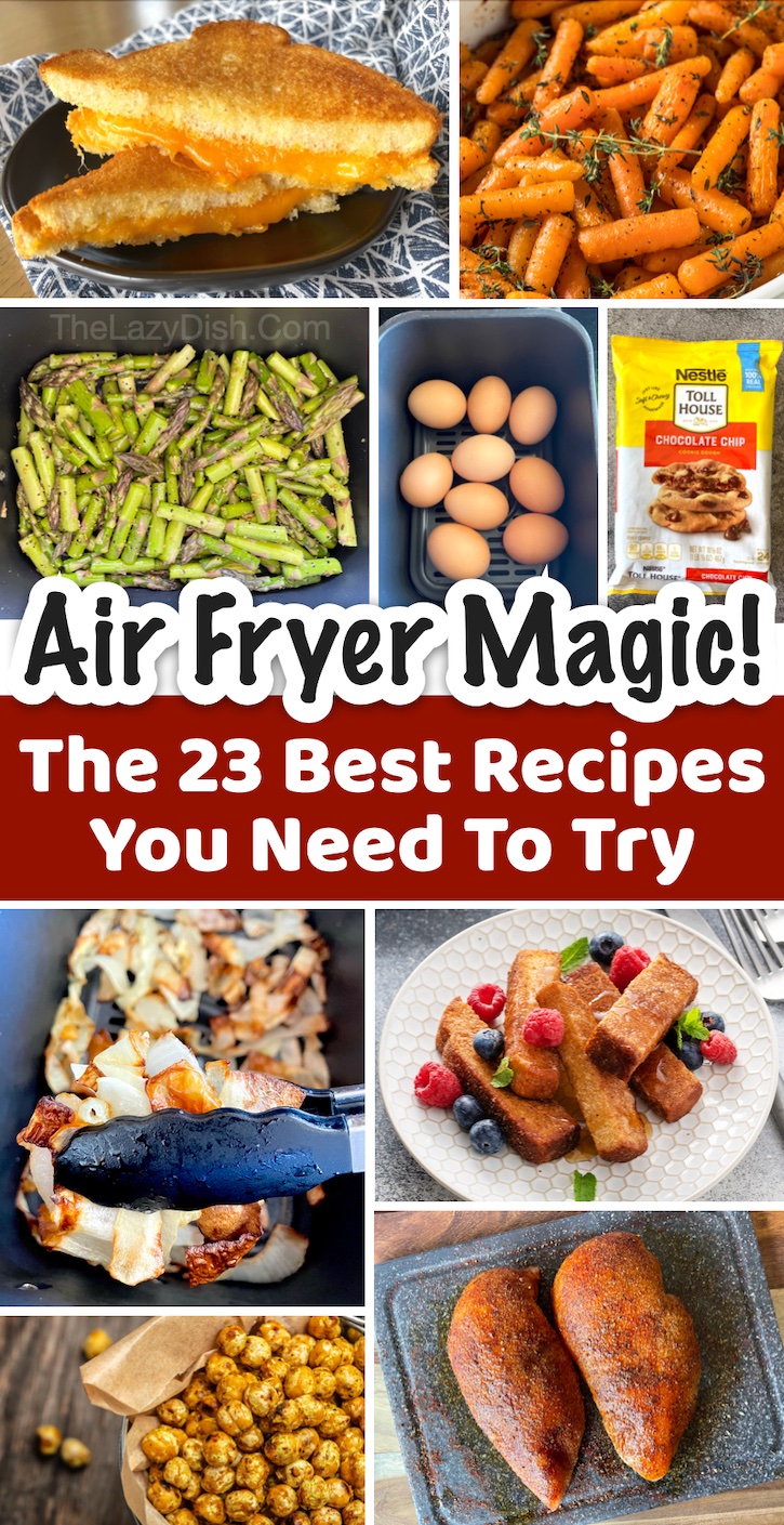 20 Healthy Air Fryer Recipes You Must Try - Scrambled Chefs