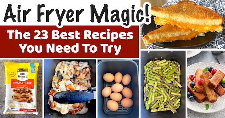https://www.thelazydish.com/wp-content/uploads/2023/04/the-best-air-fryer-recipes-food-thats-better.jpg