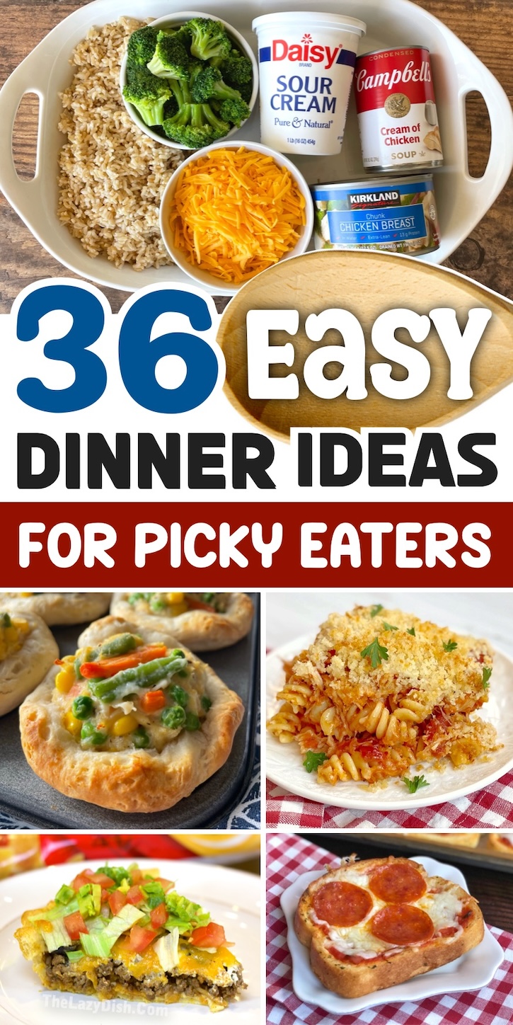 Budget-friendly recipes for picky eaters