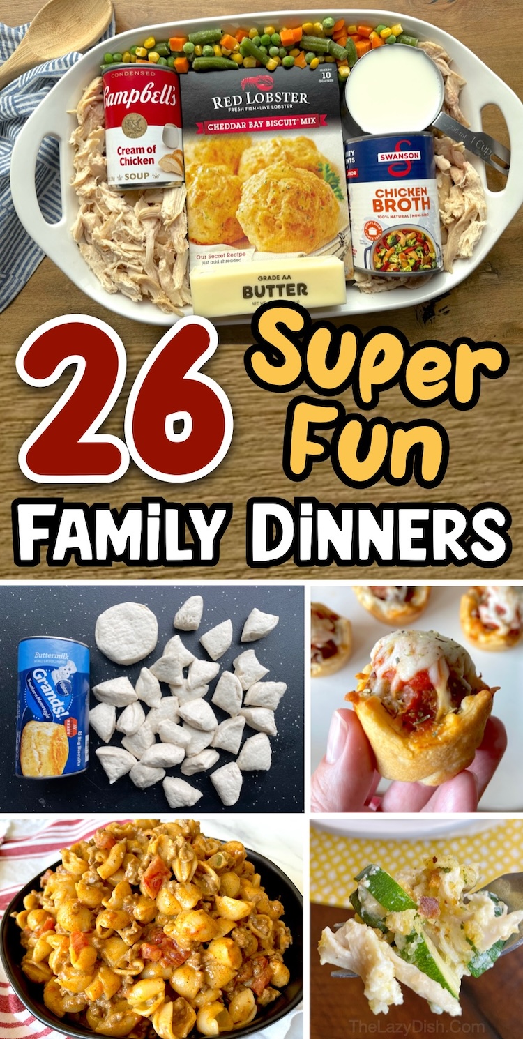 A list of fun and easy dinner recipes to make for your picky eaters! If dinner time in your house is getting boring, try these exciting yet quick and simple dinners. Everything from chicken and ground beef to cheesy casseroles and slow cooker meals. Your kids are going to ask you to make them again and again!